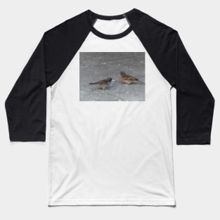 Finches Baseball T-Shirt